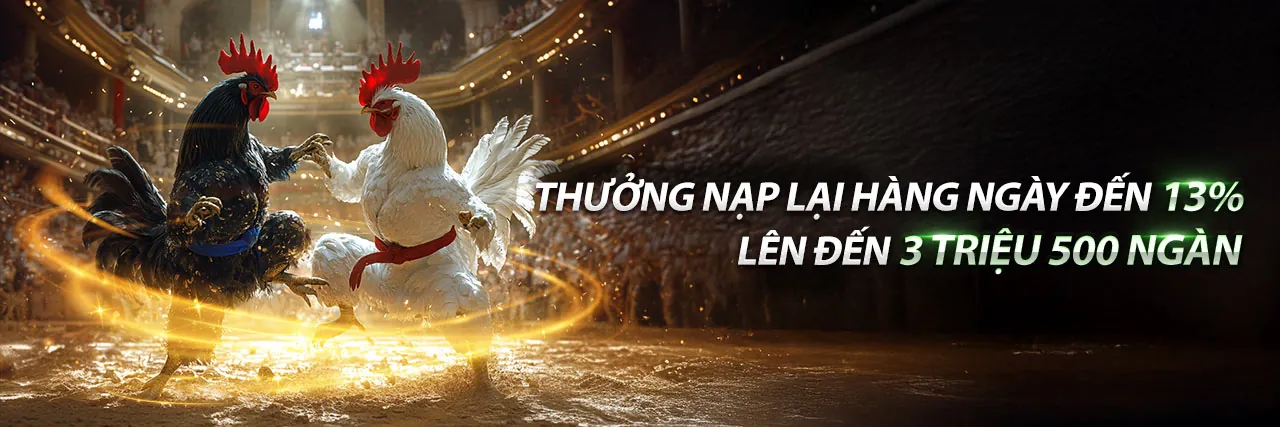 Trực Tiếp Gà Chọi Thomo